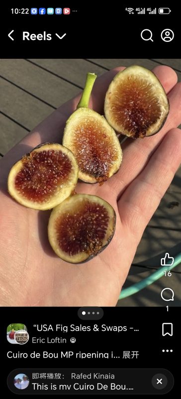 小果迷-种植爱好者交流互动平台