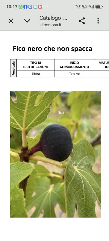 小果迷-种植爱好者交流互动平台