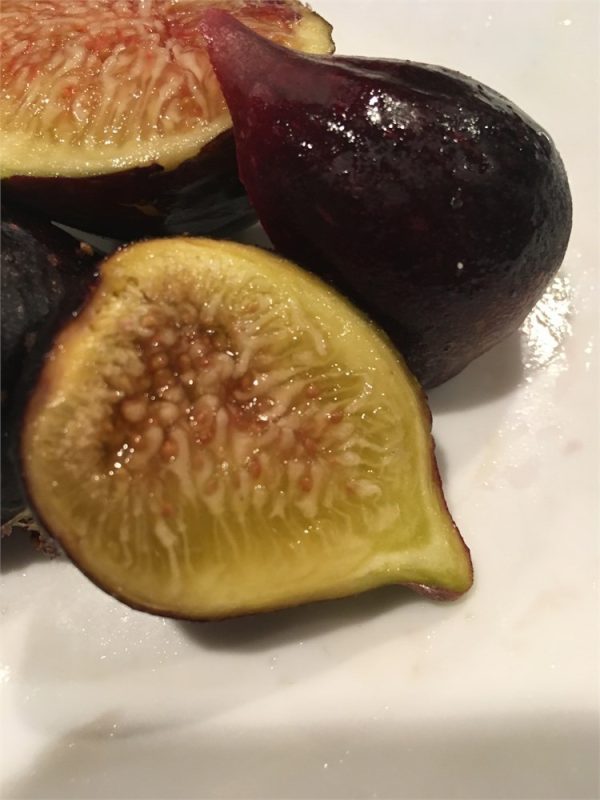 小果迷-种植爱好者交流互动平台