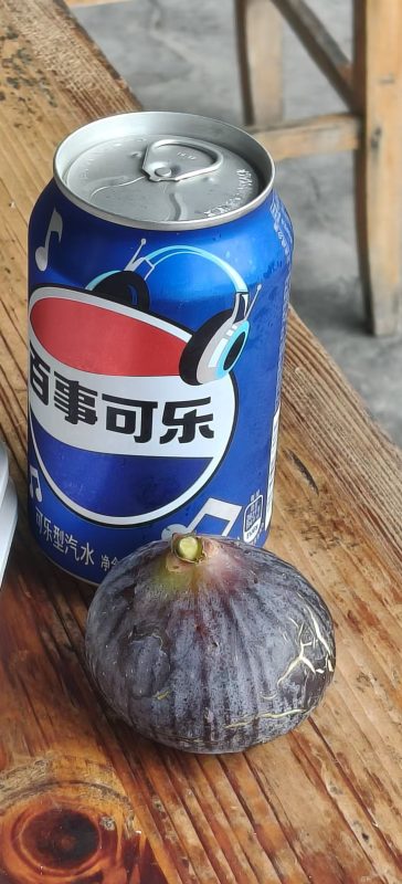 小果迷-种植爱好者交流互动平台