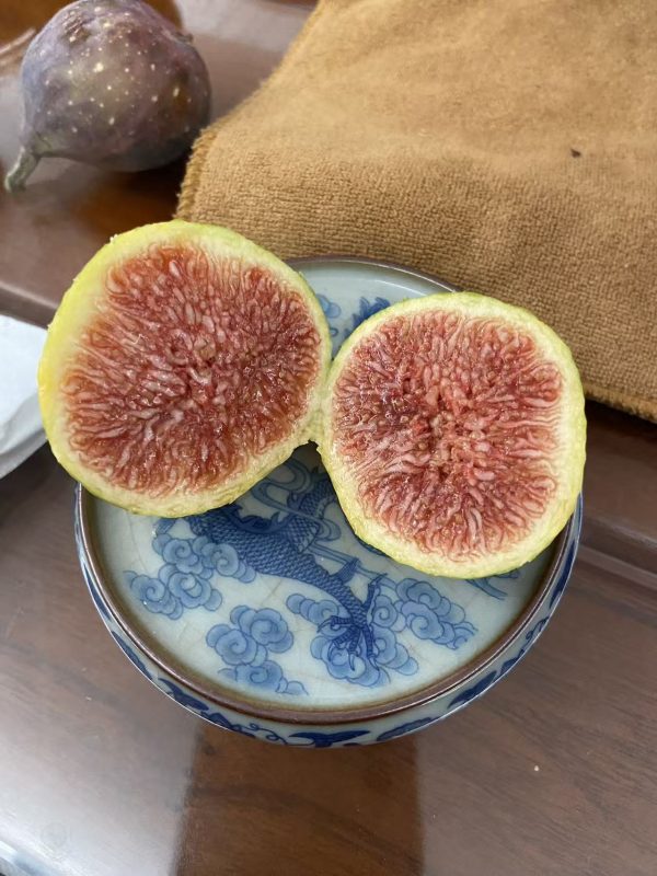 小果迷-种植爱好者交流互动平台