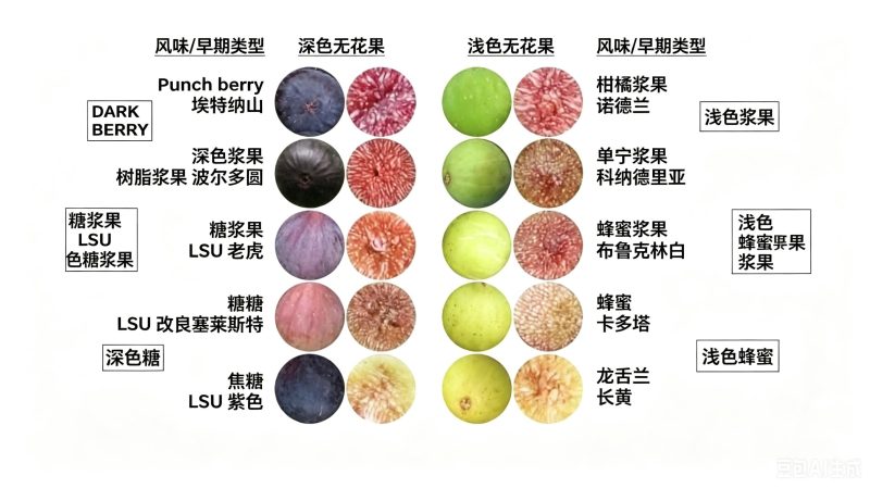 小果迷-种植爱好者交流互动平台