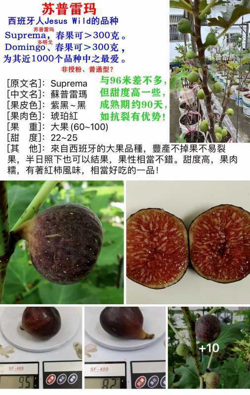 小果迷-种植爱好者交流互动平台