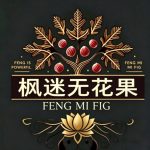 88号无花果的头像-小果迷