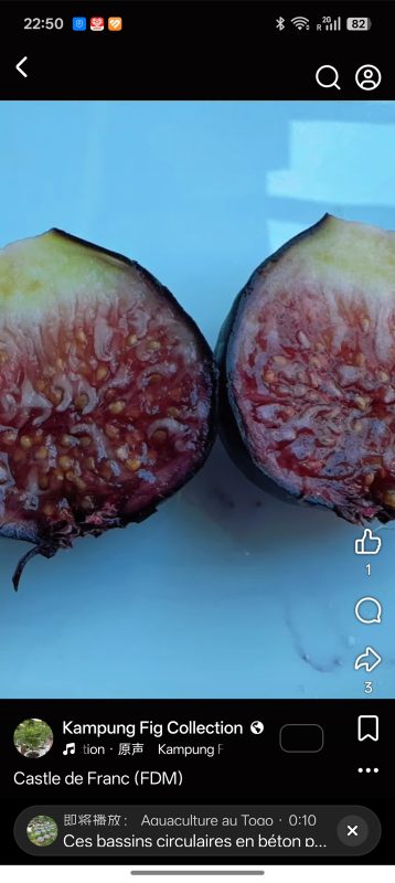 Screenshot_2026-05-08-22-50-11-92_a23b203fd3aafc6dcb84e438dda678b6