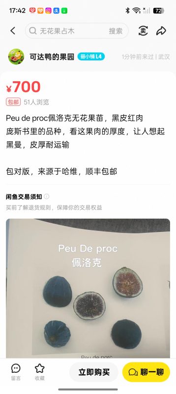 佩洛克/猪脚 Peu de Porc MP(可达鸭)-小果迷