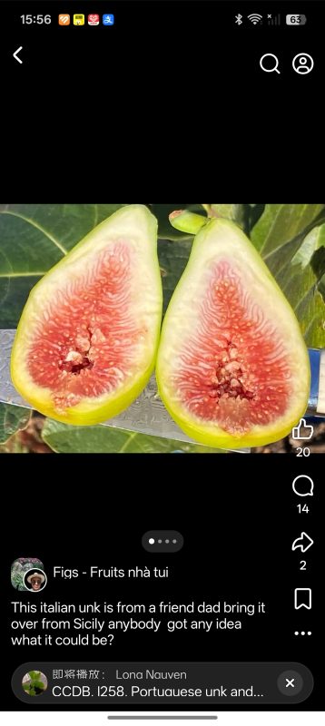 小果迷-种植爱好者交流互动平台