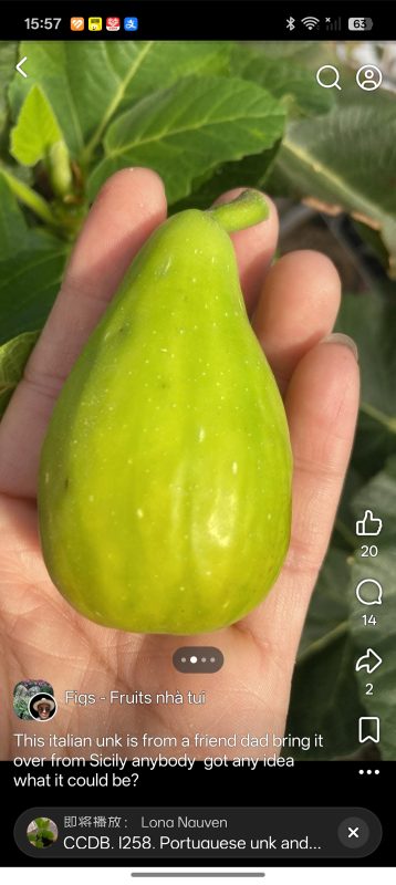 小果迷-种植爱好者交流互动平台