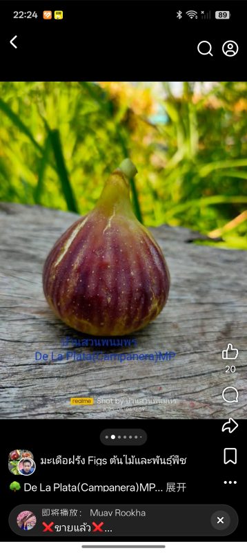 小果迷-种植爱好者交流互动平台