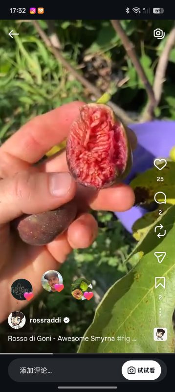 小果迷-种植爱好者交流互动平台