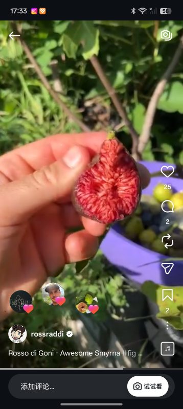 小果迷-种植爱好者交流互动平台