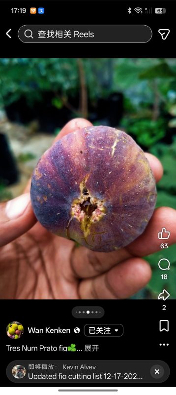 小果迷-种植爱好者交流互动平台