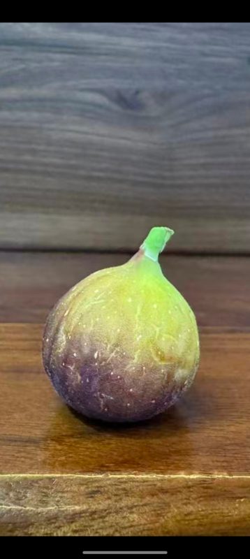 小果迷-种植爱好者交流互动平台