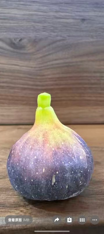 小果迷-种植爱好者交流互动平台