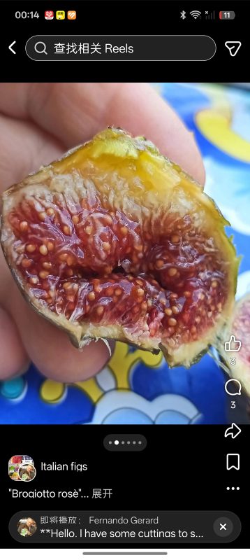 小果迷-种植爱好者交流互动平台