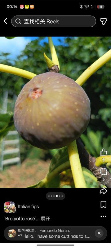 小果迷-种植爱好者交流互动平台