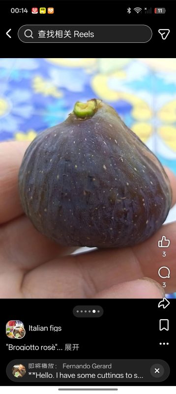 小果迷-种植爱好者交流互动平台