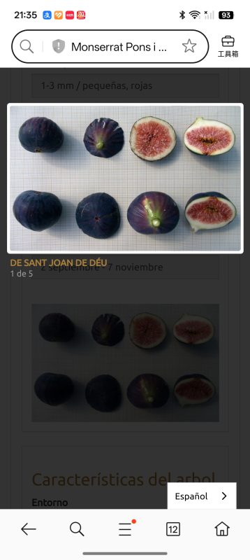 小果迷-种植爱好者交流互动平台