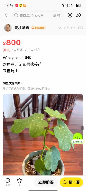 对角巷 WG   Winkelgasse Unk（天才喵喵）-小果迷