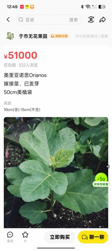奥里亚诺思    Orianos  （于市无花）-小果迷