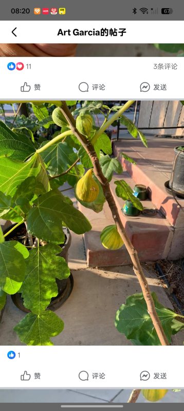 小果迷-种植爱好者交流互动平台