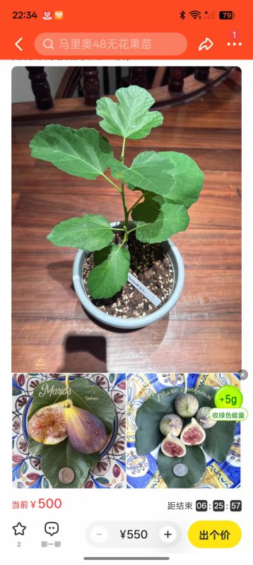 小果迷-种植爱好者交流互动平台