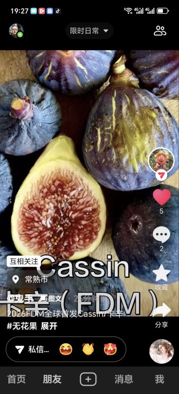 卡辛  Caccin FdM (鬼手)-小果迷