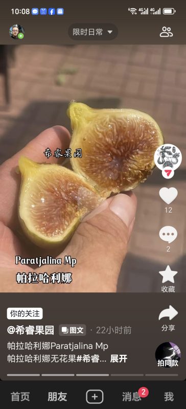 小果迷-种植爱好者交流互动平台