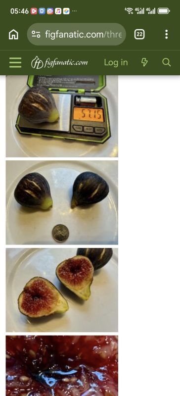 小果迷-种植爱好者交流互动平台