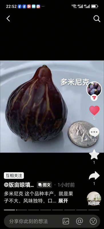 小果迷-种植爱好者交流互动平台