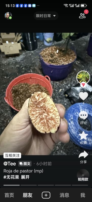 小果迷-种植爱好者交流互动平台