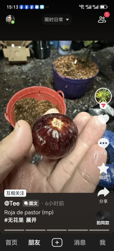 小果迷-种植爱好者交流互动平台