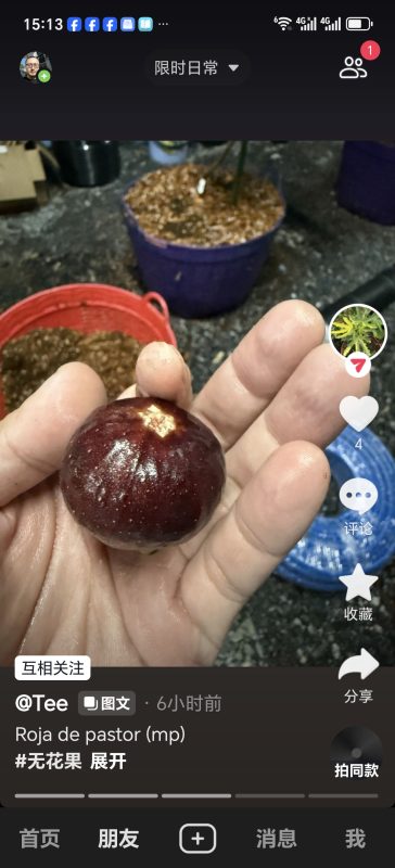 小果迷-种植爱好者交流互动平台