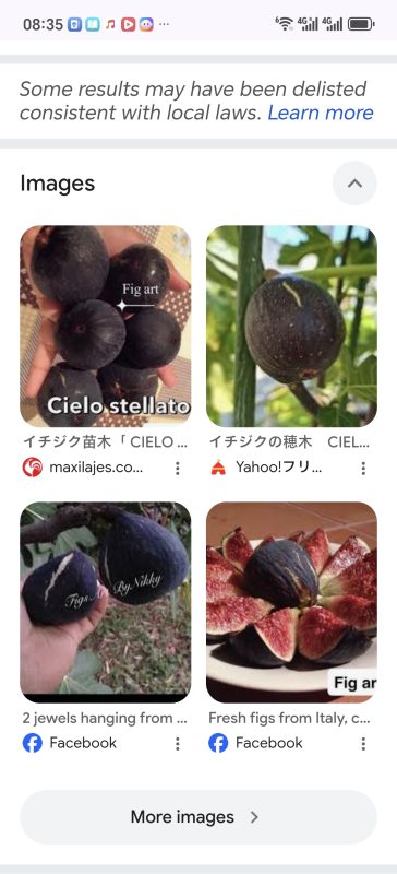 Screenshot_20260524_083521_com_android_chrome_ChromeTabbedActivity