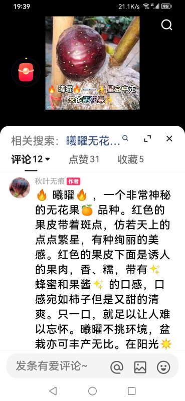 评论图片-小果迷