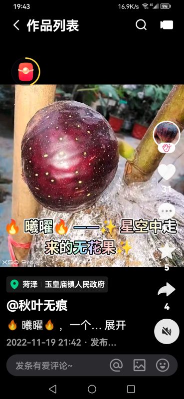评论图片-小果迷