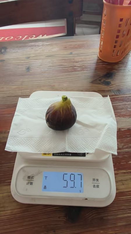 小果迷-种植爱好者交流互动平台