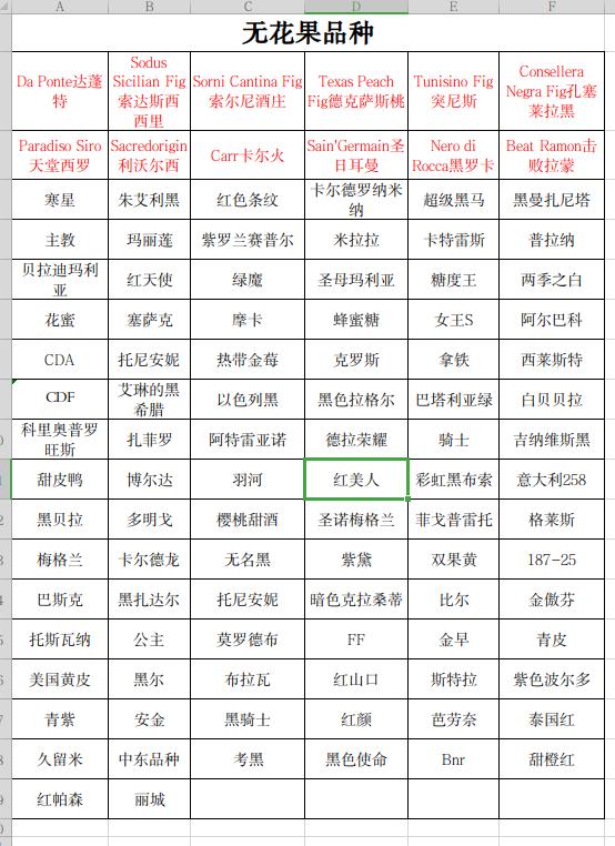 拥有的无花果品种-小果迷