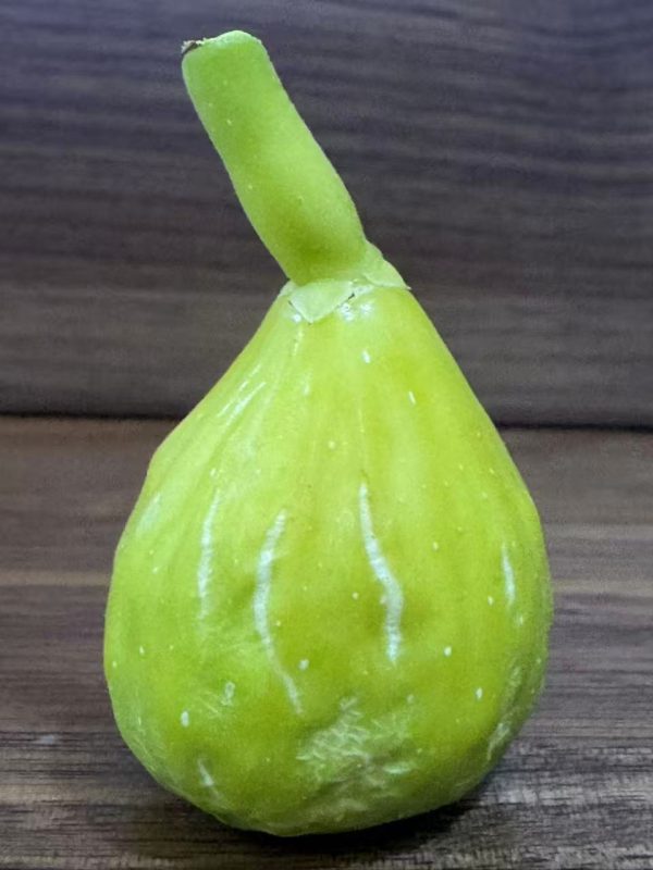 小果迷-种植爱好者交流互动平台
