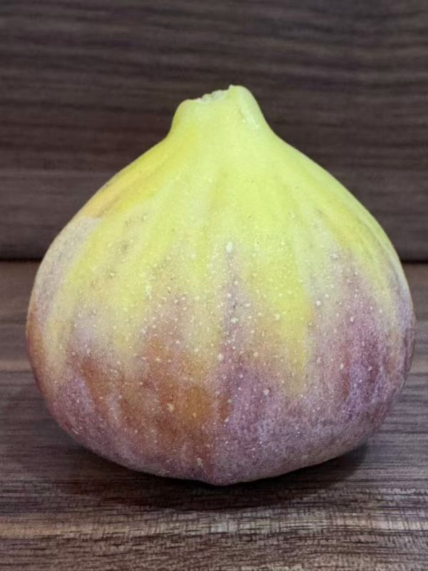 小果迷-种植爱好者交流互动平台