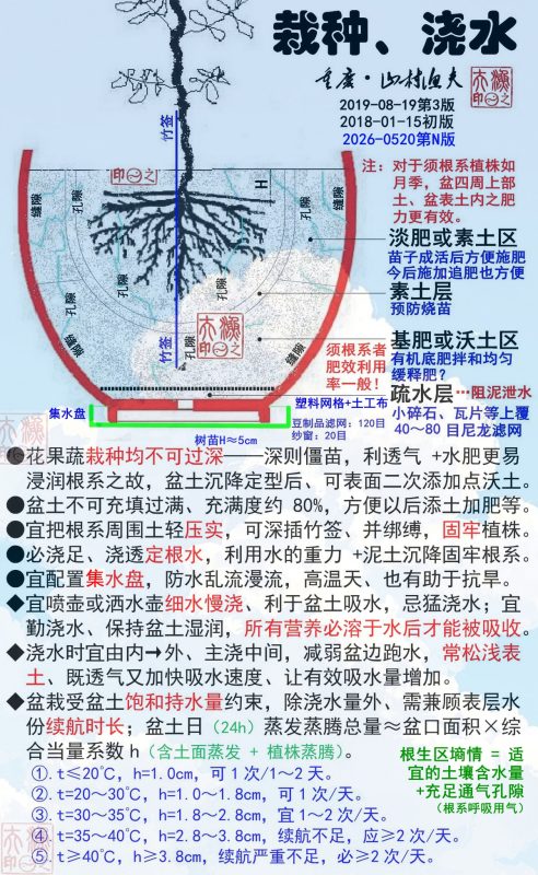 №03. 栽种、浇水