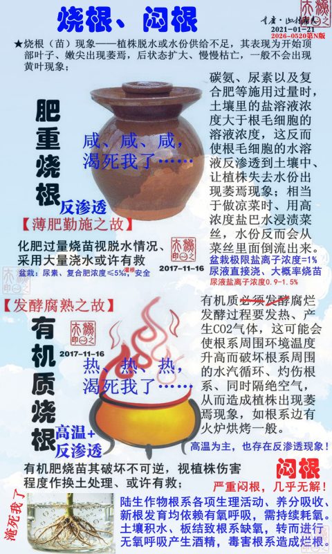№07. 烧根、闷根