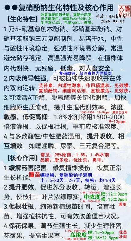 山村渔夫《无花果盆栽种养基础》-小果迷