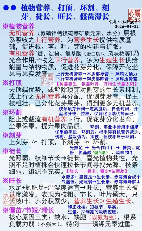 №15. 植物营养、打顶、环割、刻芽……