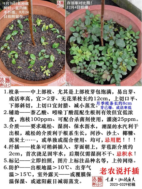 №16. 老农说扦插