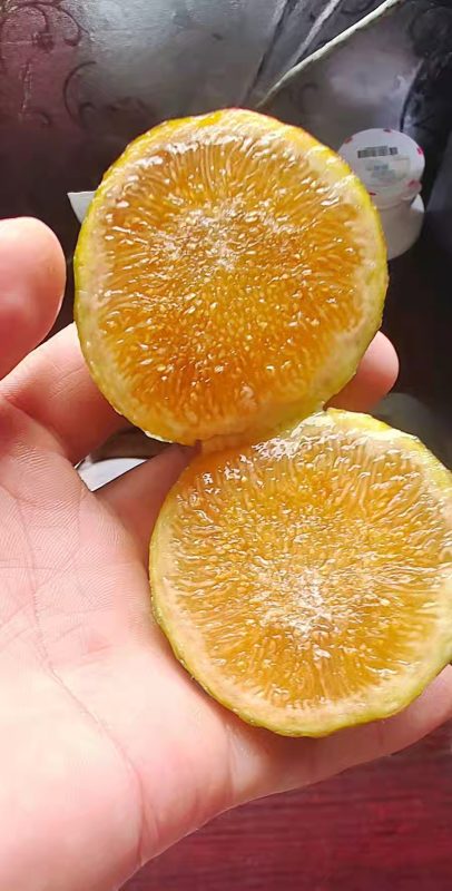 小果迷-种植爱好者交流互动平台