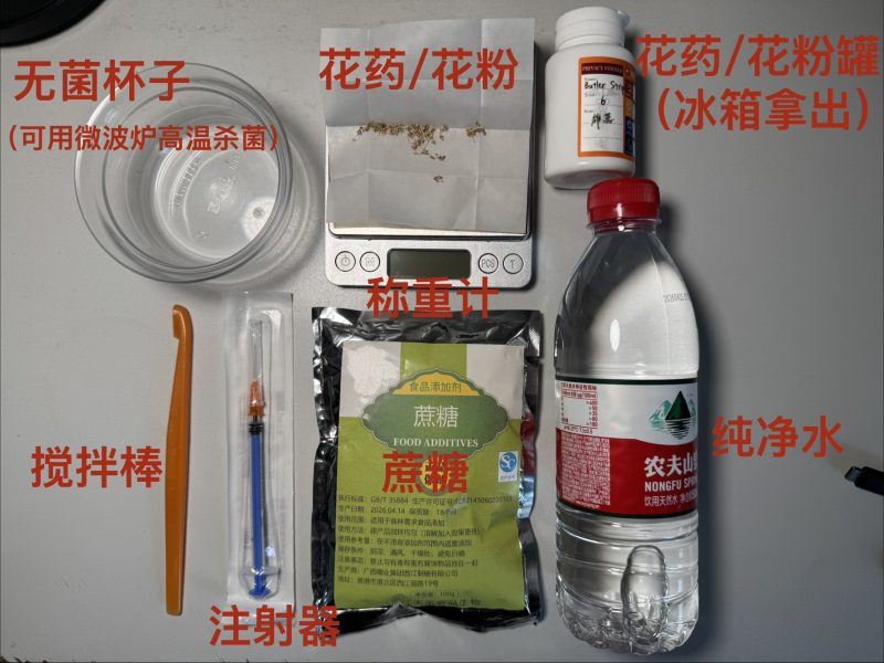 【应朴续前辈邀】无花果人工授粉具体流程-小果迷