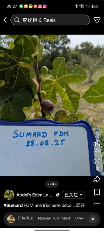小果迷-种植爱好者交流互动平台