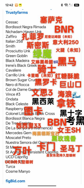 美国Trustyfarms主流品种-小果迷