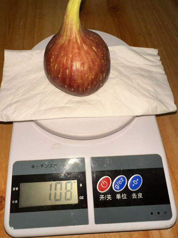 小果迷-种植爱好者交流互动平台